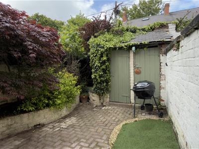 Picture 11